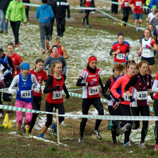 Baden-Württembergische Crossmeisterschaften in Essingen am 3. Februar 2018